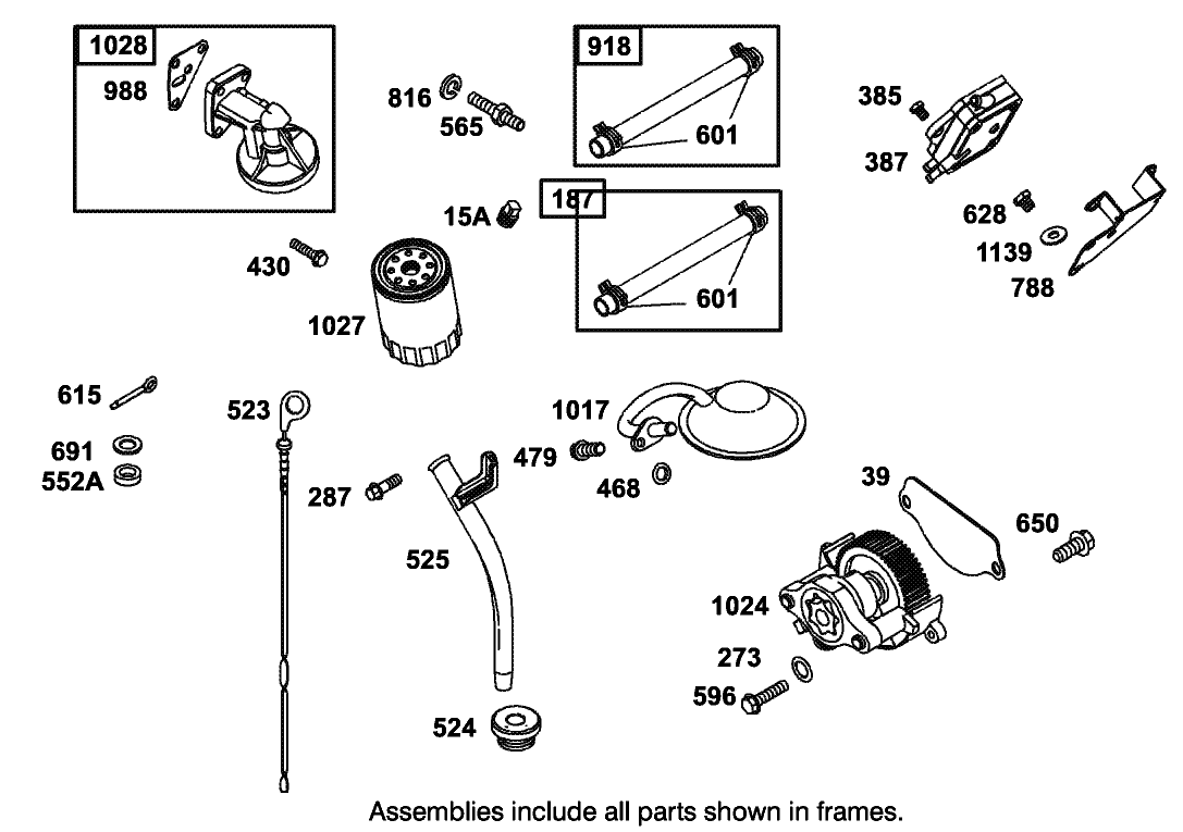 Fuel Pump, Oil Pump and Dipstick Assembly Briggs and Stratton Model 350447-1259-E1