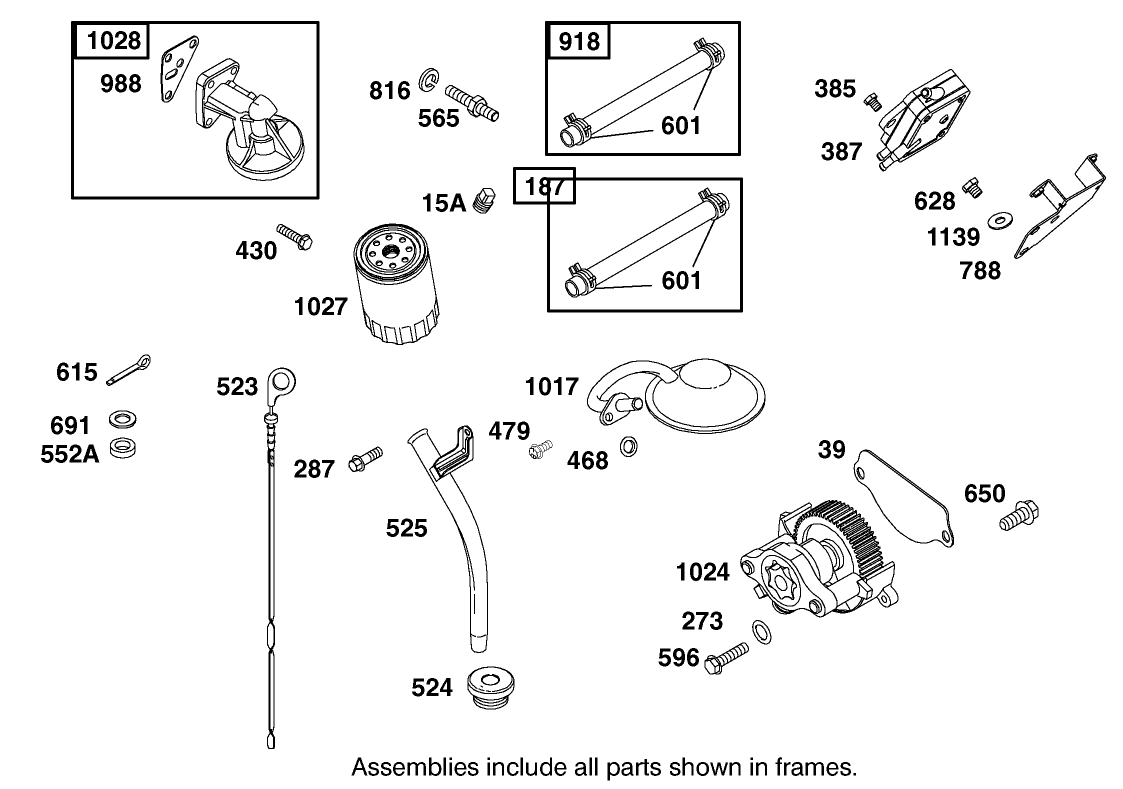 Fuel Pump, Oil Pump and Dipstick Assembly Briggs and Stratton Model 350447-1331-E1