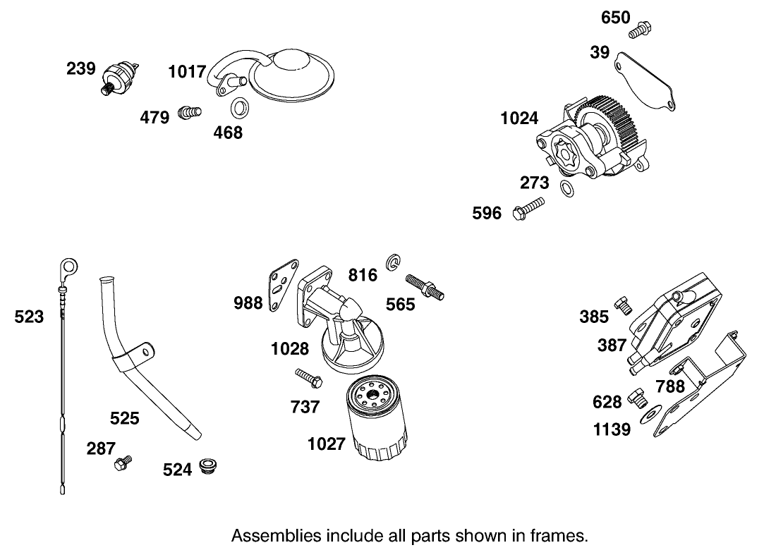 Oil Filter, Tube and Pump Assembly