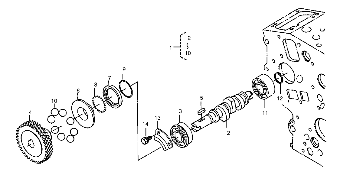 Fuel Camshaft Assembly
