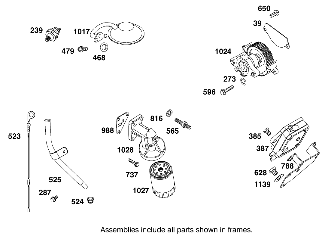 Oil Filter, Tube and Pump Assembly