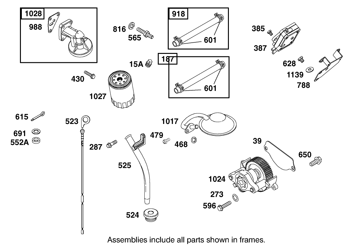 Fuel Pump, Oil Pump and Dipstick Assembly Briggs and Stratton Model 350447-1331-E1