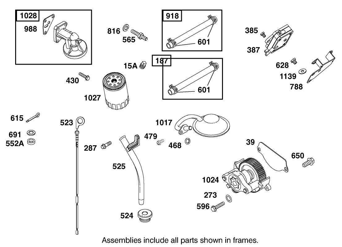 Fuel Pump, Oil Pump and Dipstick Assembly Briggs and Stratton Model 350447-1331-E1
