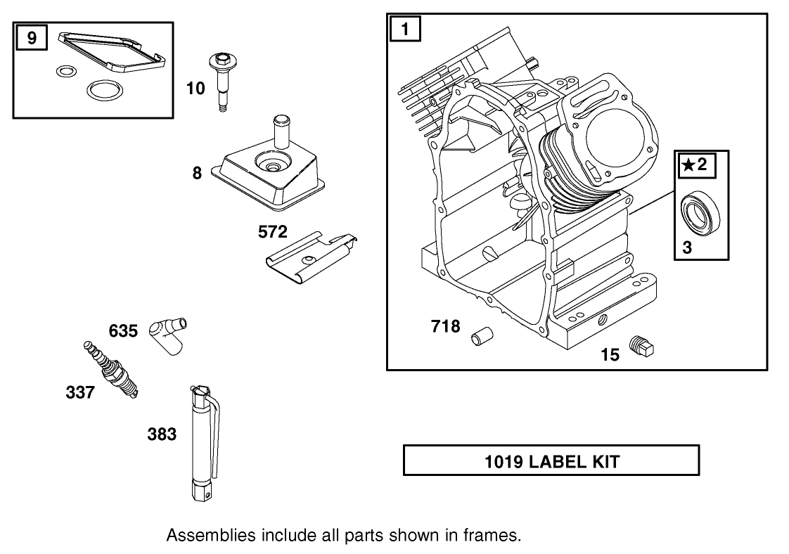 Cylinder Assembly Briggs and Stratton Engine 303440-1320-E1