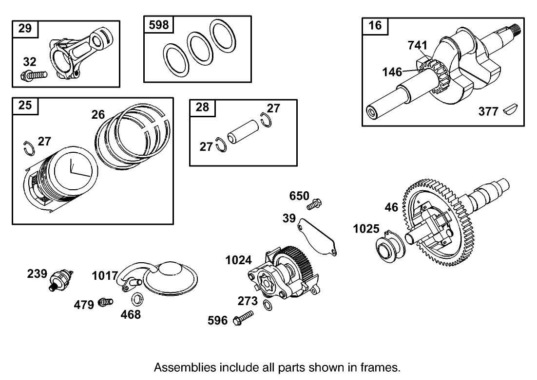 Crankshaft, Piston and Oil Pump Assembly  Briggs and Stratton 303447-1319-E1