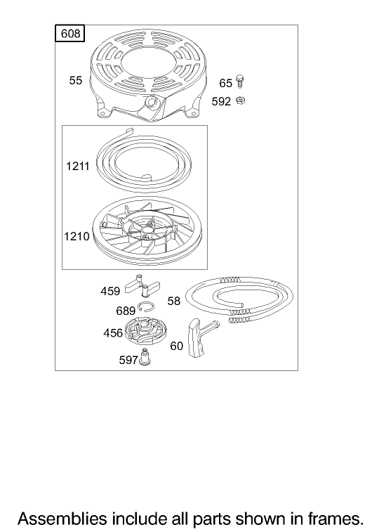 Starter Assembly Briggs and Stratton Model 122607-0116-E1