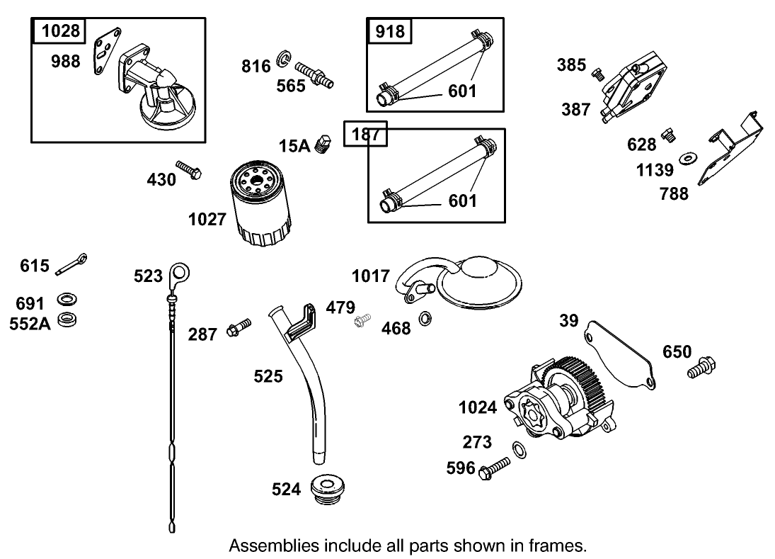 Fuel Pump, Oil Pump and Dipstick Assembly Briggs and Stratton Model 350447-1331-E1