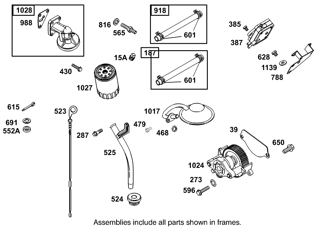 Fuel Pump, Oil Pump and Dipstick Assembly Briggs and Stratton Model 350447-1331-E1