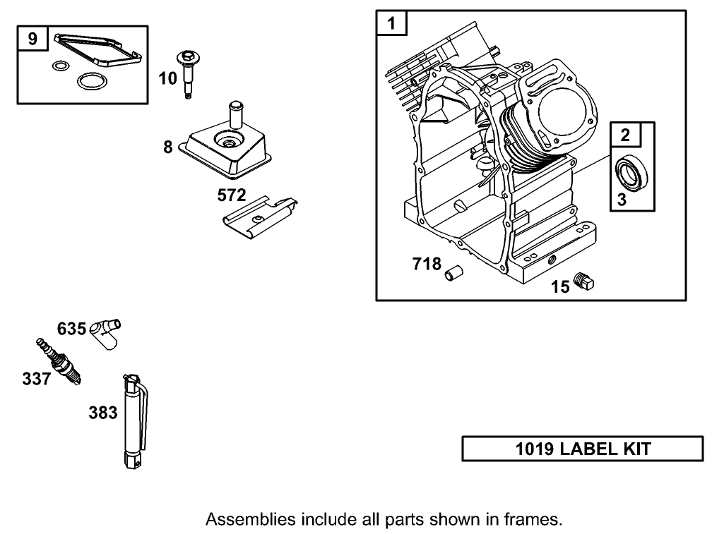 Cylinder Assembly Briggs and Stratton 350447-1116-E1
