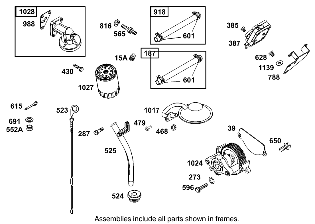 Fuel Pump, Oil Pump and Dipstick Assembly Briggs and Stratton Model 350447-1331-E1