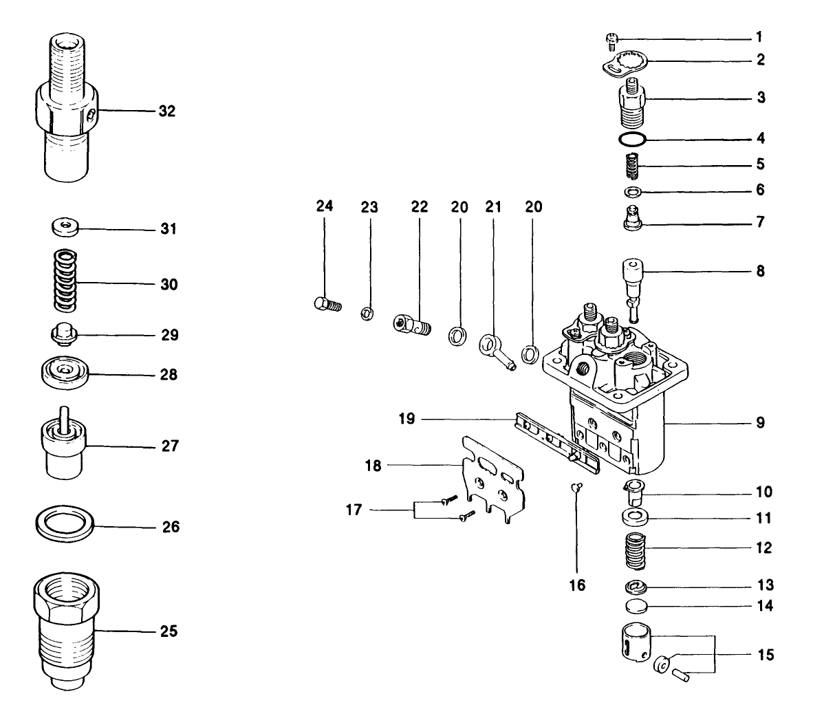 Fuel Injection Pump Assembly
