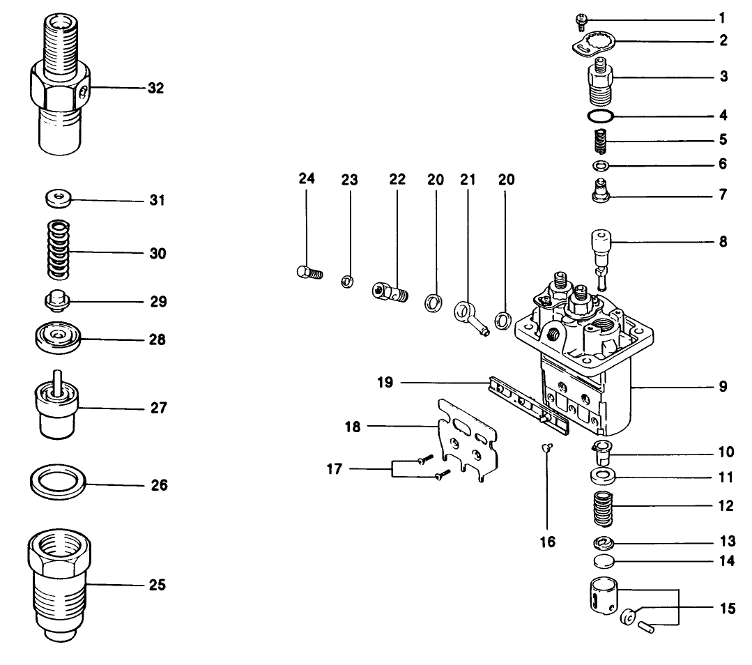 Fuel Injection Pump Assembly