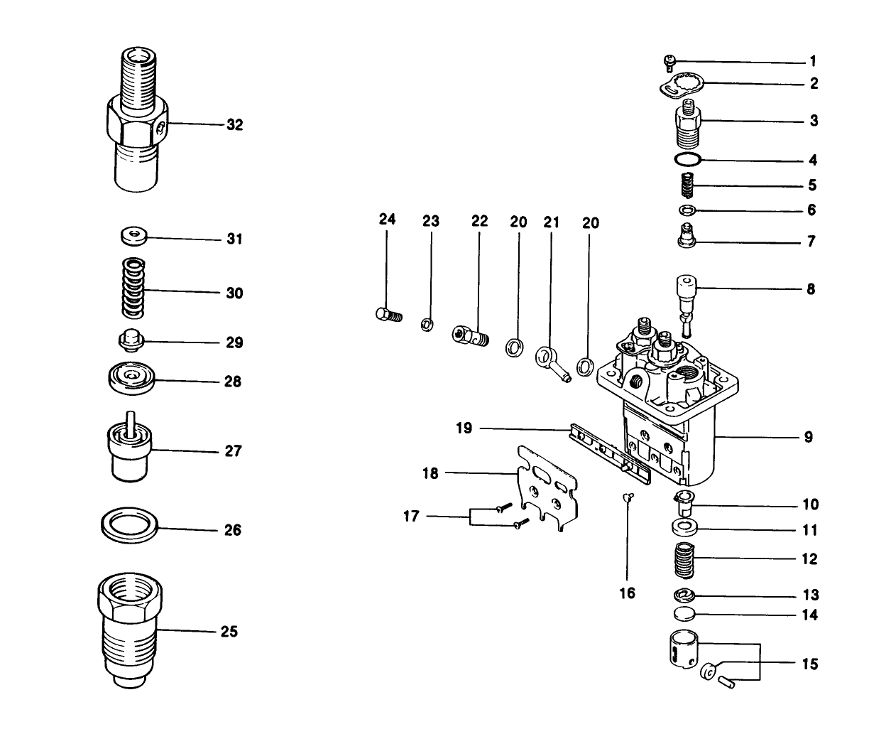 Fuel Injection Pump Assembly