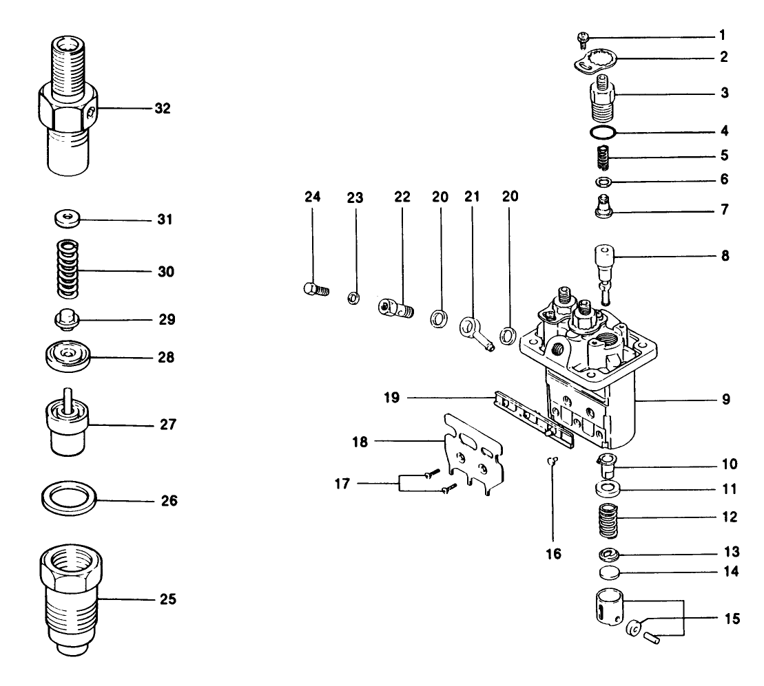 Fuel Injection Pump Assembly