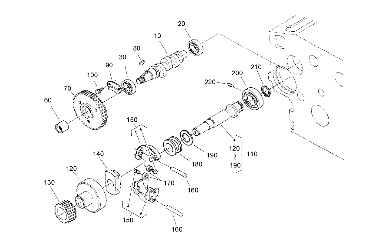 Fuel Camshaft and Governor Shaft Assembly