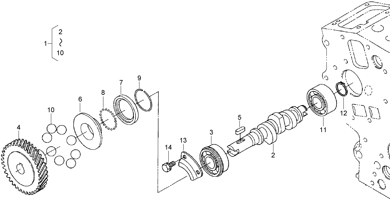 Fuel Camshaft and Governor Shaft Assembly