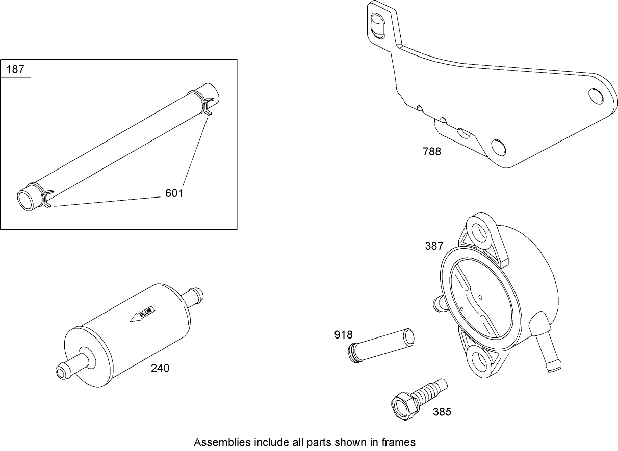 Fuel Line and Pump Assembly  Briggs and Stratton 44K777-0123-E1