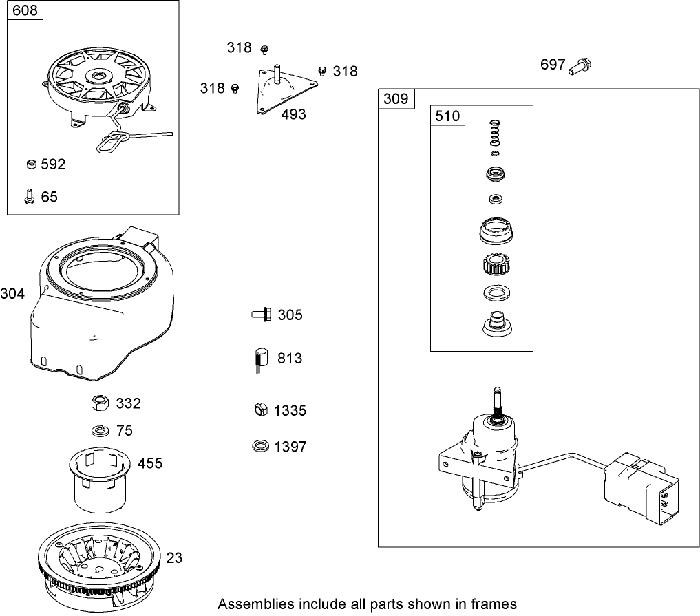 Flywheel, Blower Housing and Starter Assembly  Briggs and Stratton 084233-0199-E8