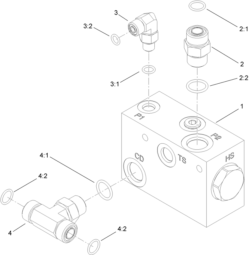 Flush Manifold Assembly