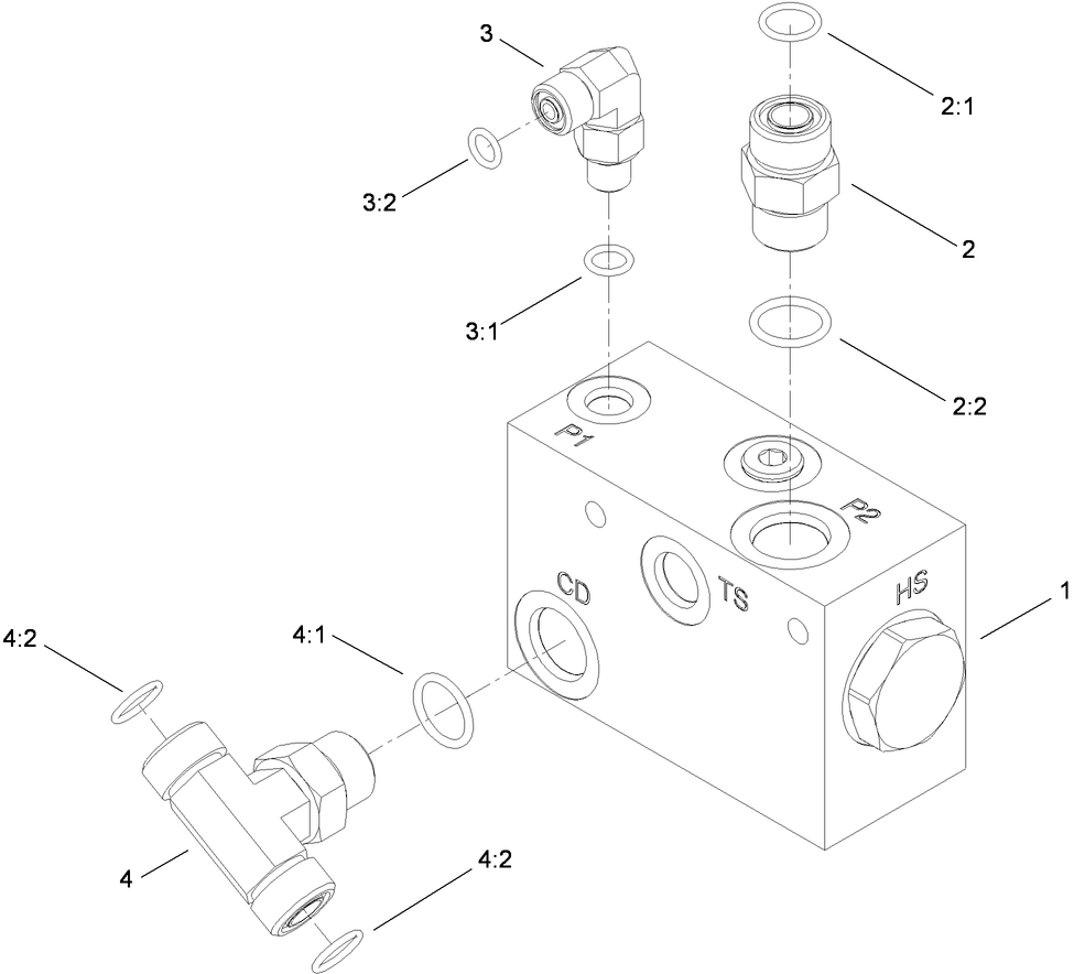 Flush Manifold Assembly