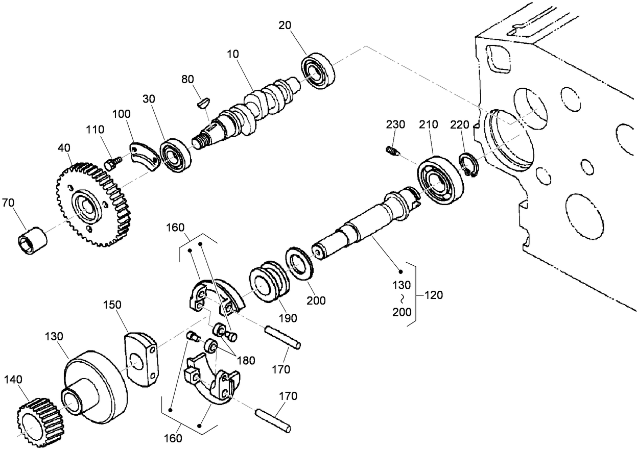 Fuel Camshaft and Governor Shaft Assembly