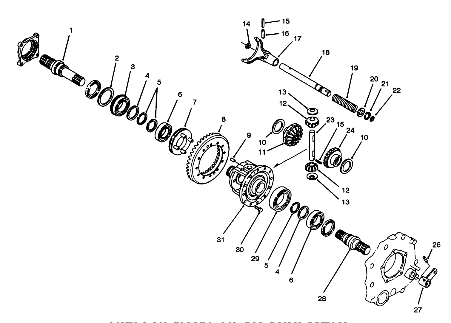 Differential Gear Assembly