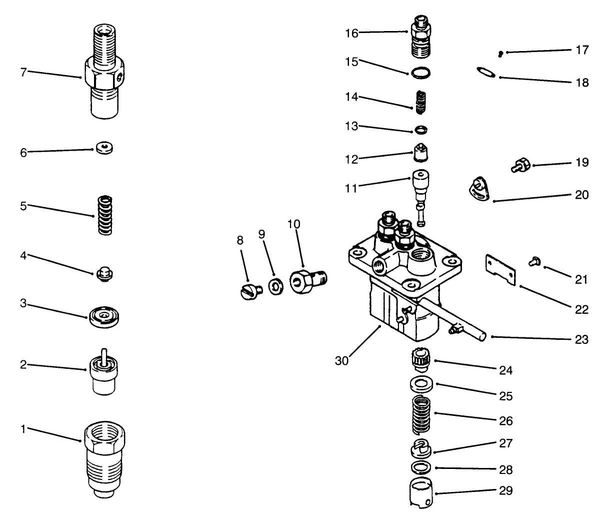 Fuel Injection Pump Assembly