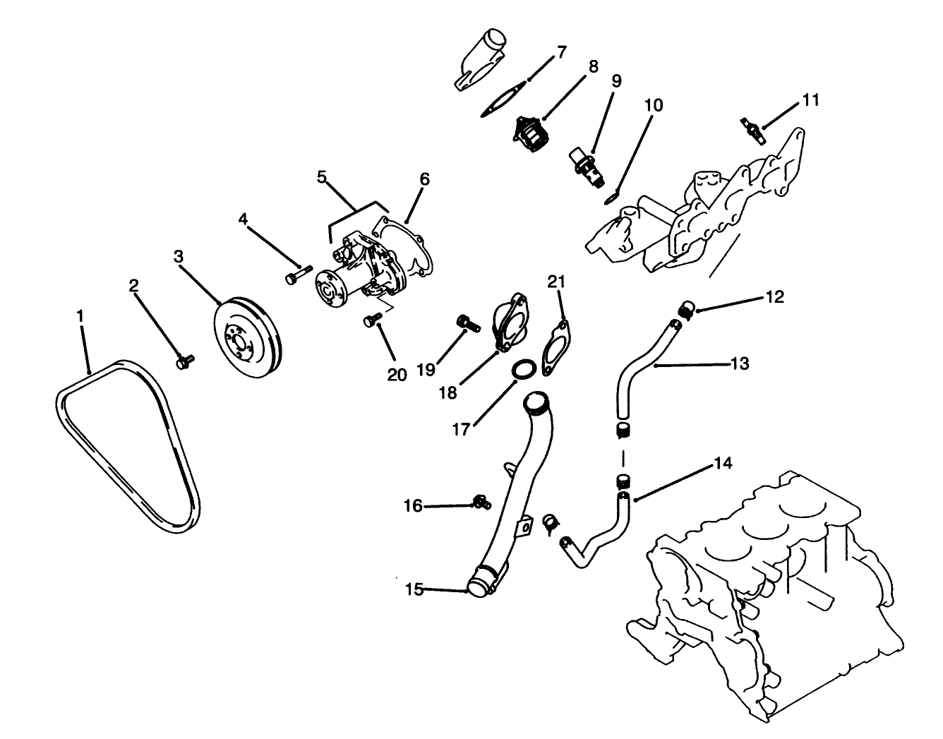 Water Pump & Thermostat Assembly