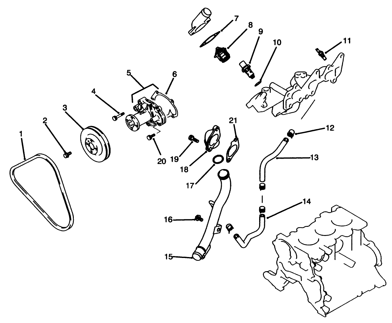 Water Pump & Thermostat Assembly