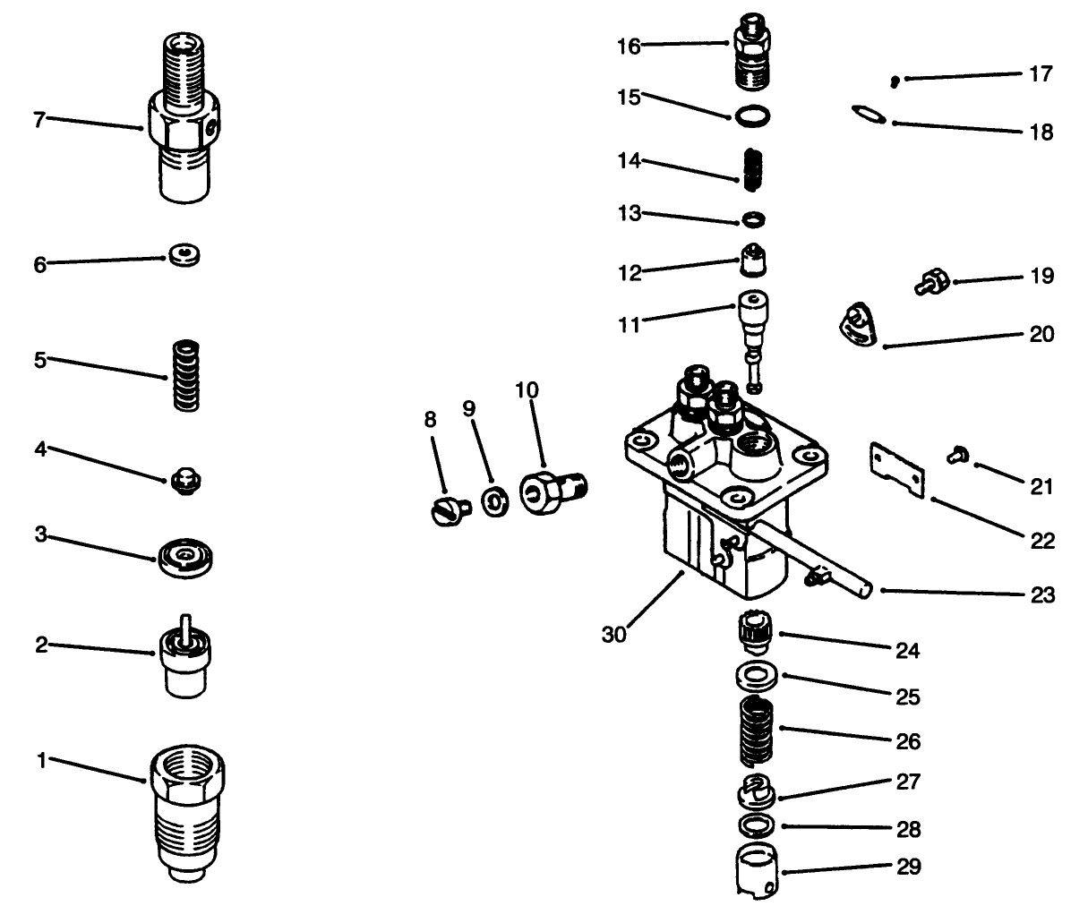 Fuel Injection Pump Assembly