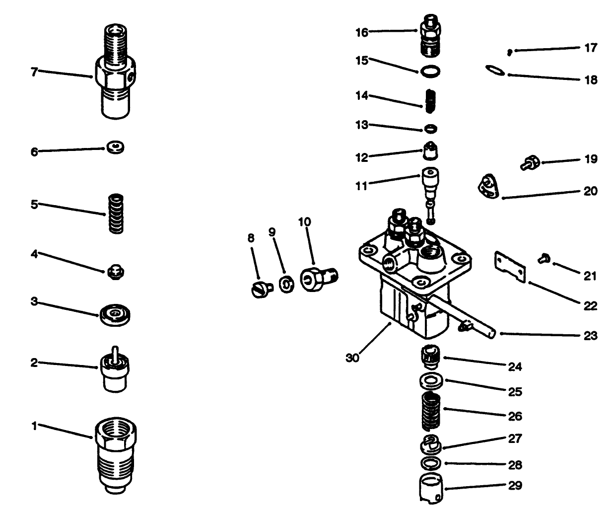 Fuel Injection Pump Assembly