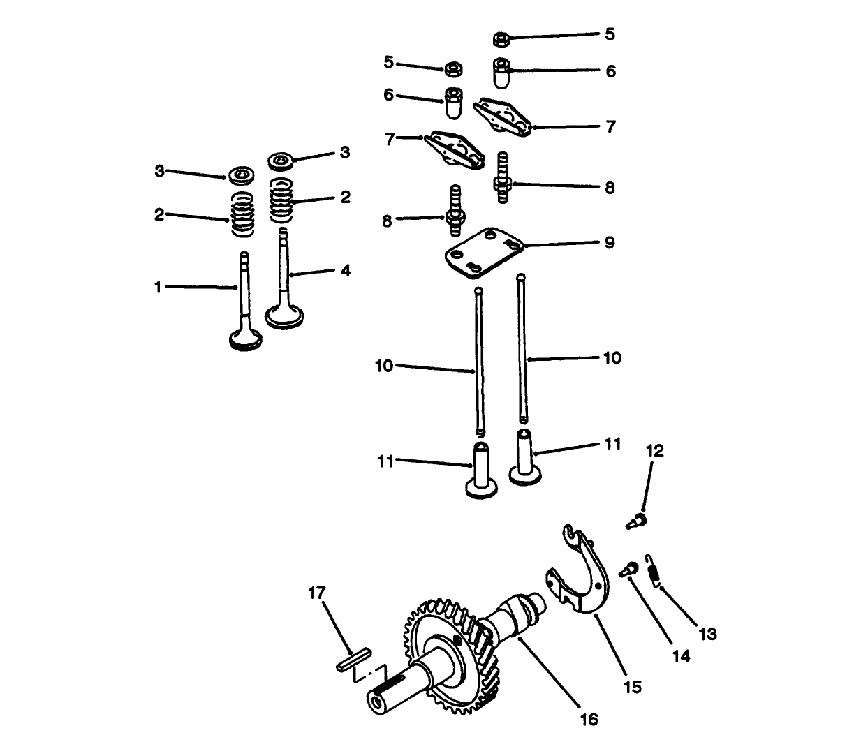 Engine Camshaft & Valves Assembly
