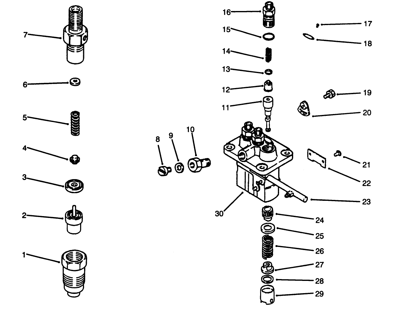 Fuel Injection Pump Assembly
