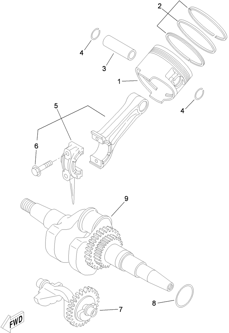 Crankshaft and Piston Assembly
