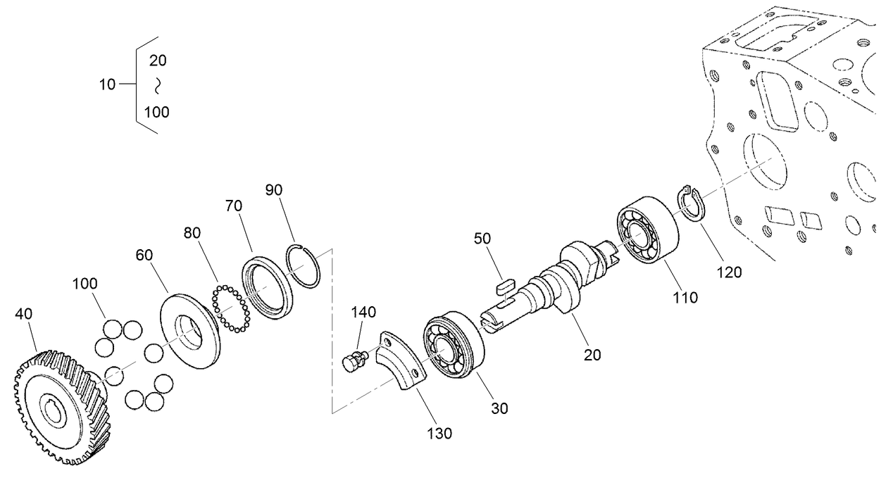 Fuel Camshaft and Governor Shaft Assembly