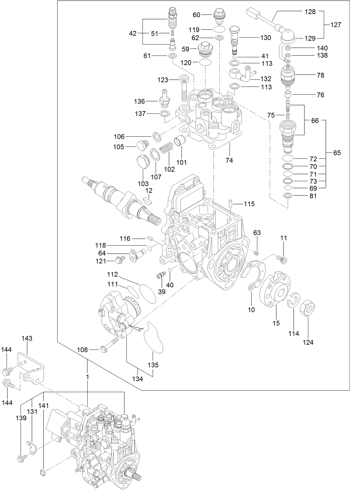 Fuel Injection Pump Assembly