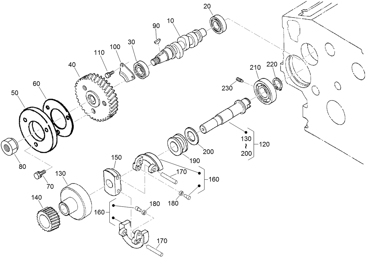 Fuel Camshaft and Governor Shaft Assembly