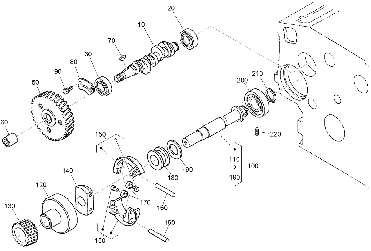 Fuel Camshaft and Governor Shaft Assembly