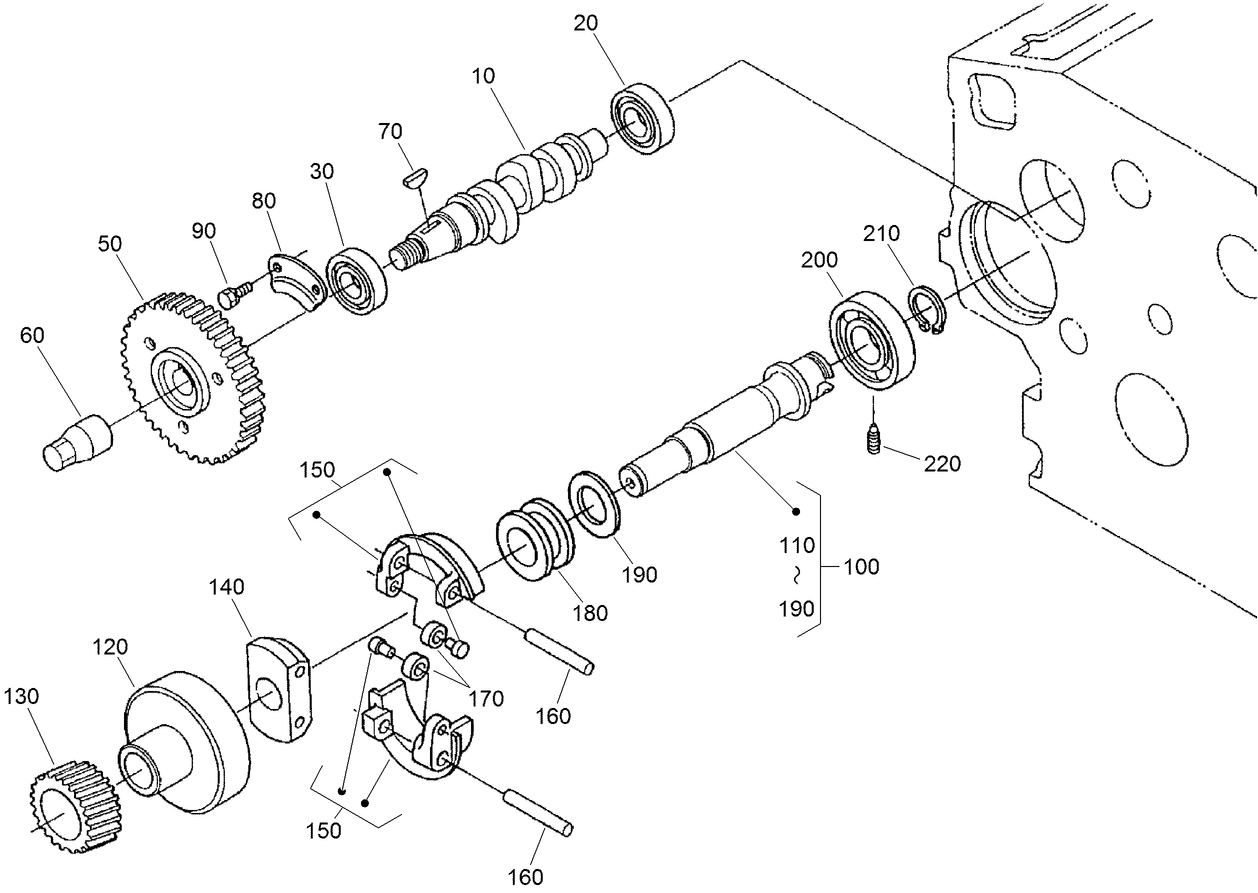 Fuel Camshaft and Governor Shaft Assembly