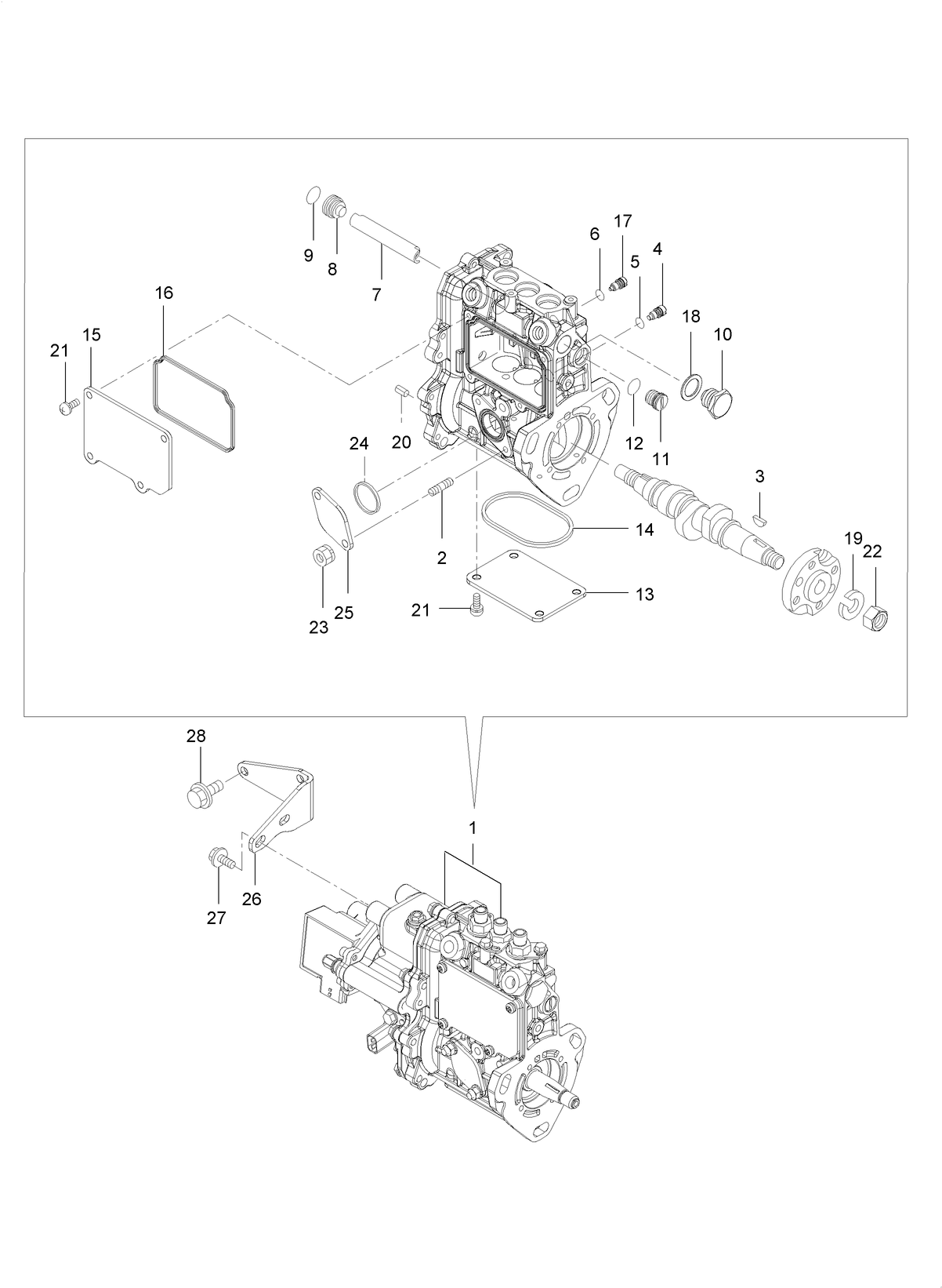 Fuel Injection Pump Assembly