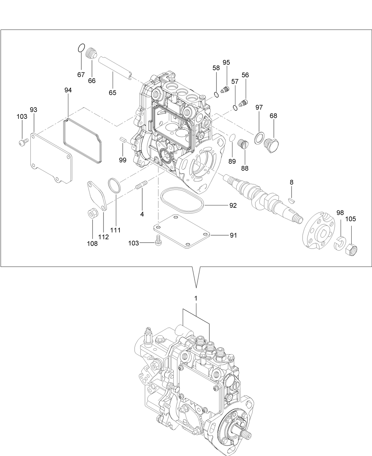 Fuel Injection Pump Assembly