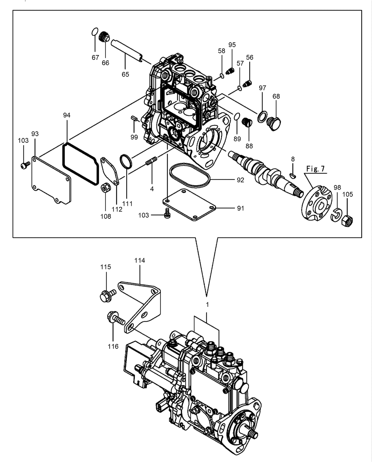Fuel Injection Pump Assembly