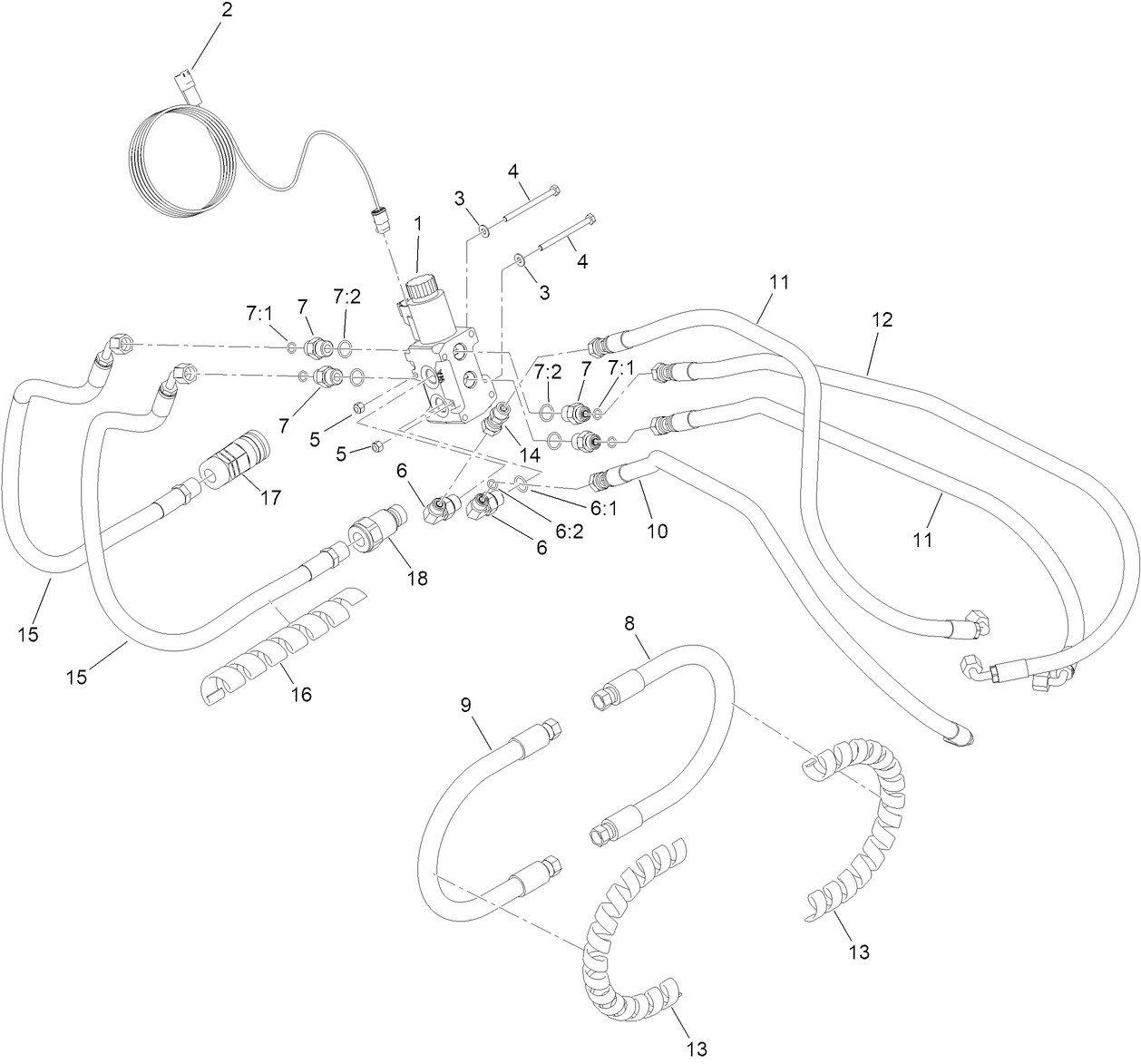 Hoses and Diverter Assembly