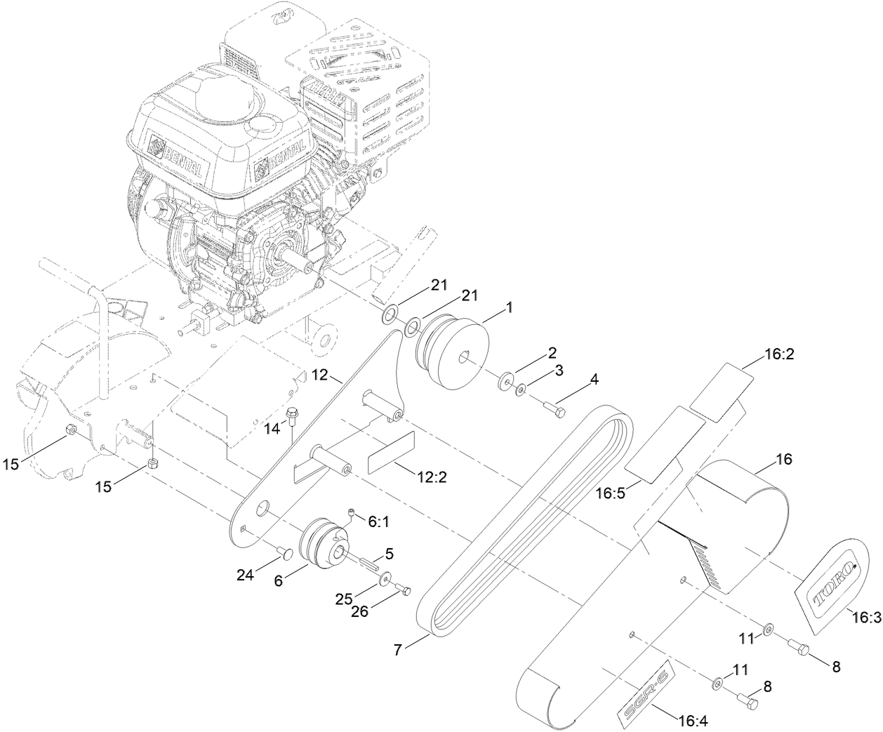 Drive Belt Assembly