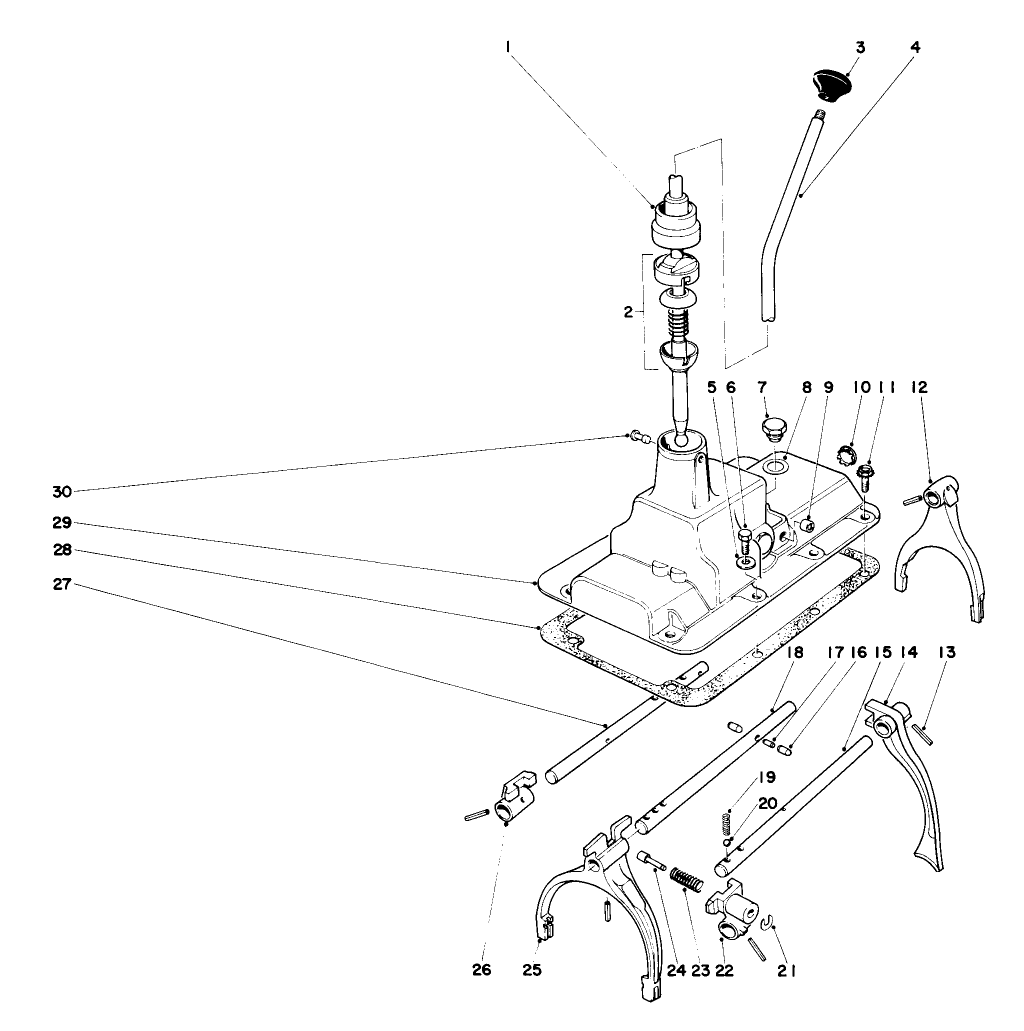 Shift Lever And Fork Assembly