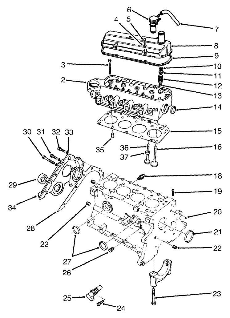 Cylinder Head & Valve Assembly