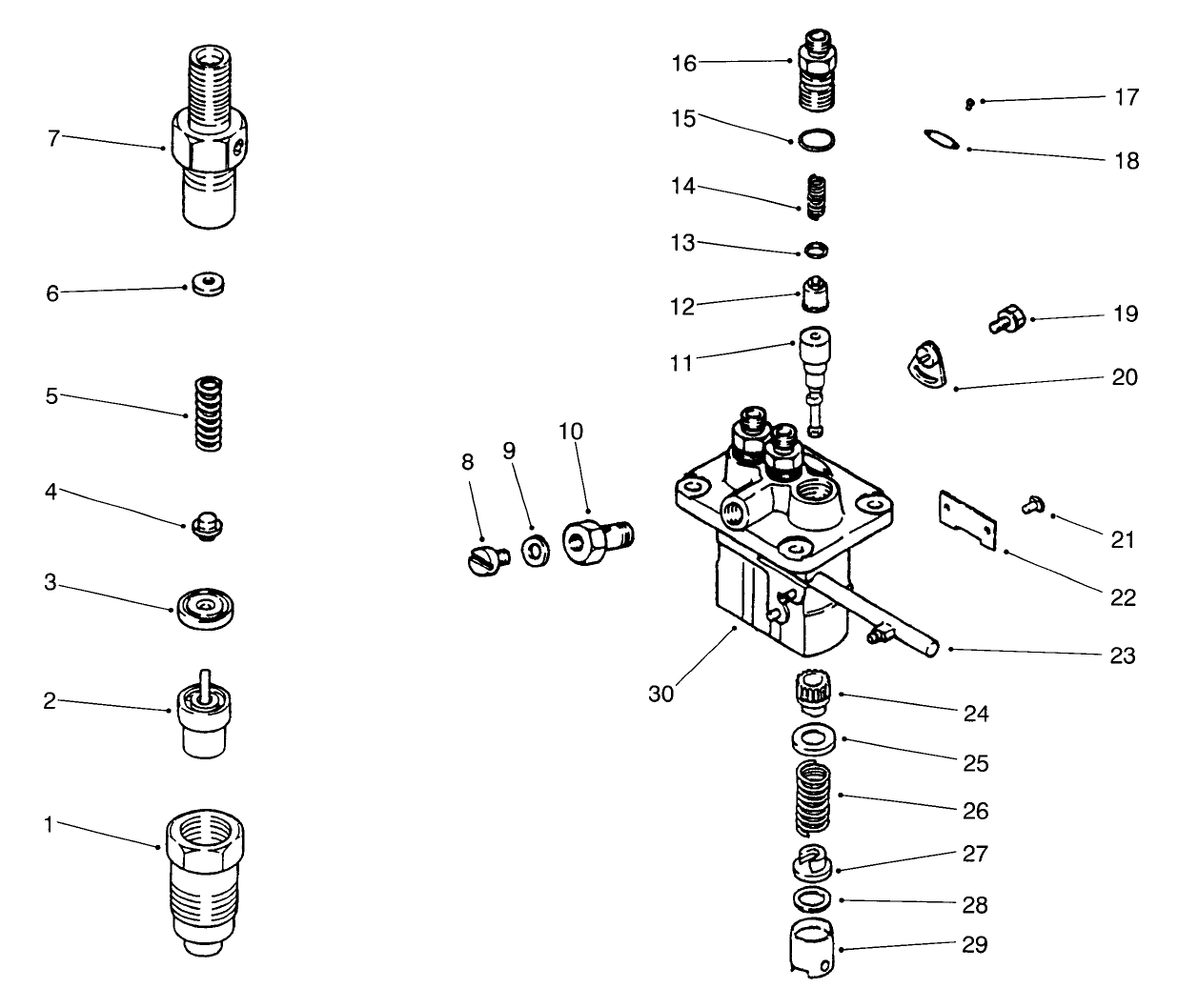 Fuel Injection Pump Assembly