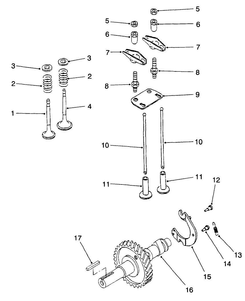 Engine Camshaft & Valves Assembly