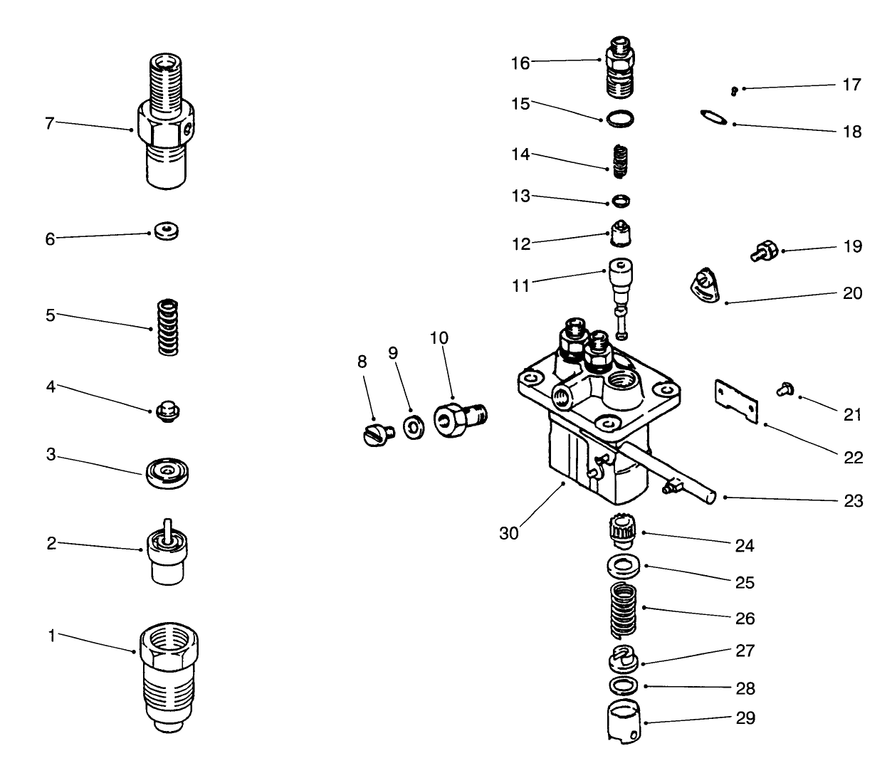 Fuel Injection Pump Assembly