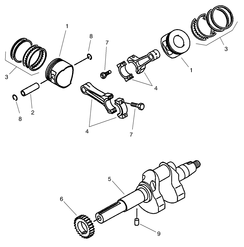 Piston & Crankshaft Assembly